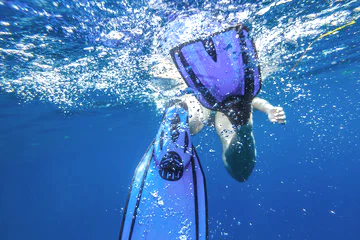 Aquapalme